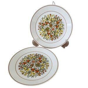 Corelle By Corning Indian Summer Pattern Dinner Plates Set Of 2 10.25 Inch